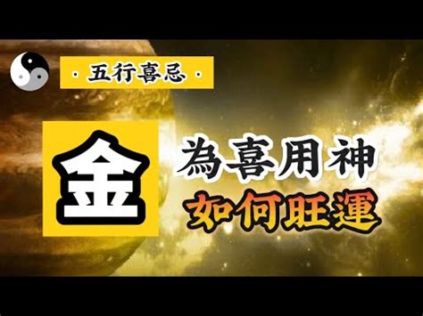 八字喜金的建議